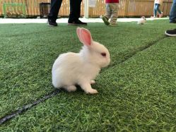 -萌宠亲子动物乐园(槐房万达店)