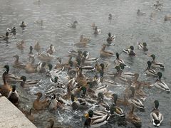 -水磨沟公园