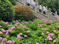 -阅江楼风景区
