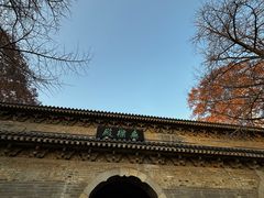 -灵谷景区