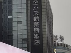 -长沙小天鹅戴斯酒店