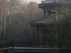 -西安市长乐公园