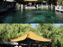 -趵突泉景区