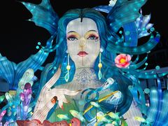 -海合安成都极地海洋公园