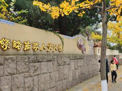 -八大关景区