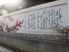 -香雪海