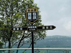 -铁山坪森林公园