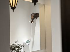 -涟LIAN·泰式按摩·MASSAGE·SPA(深业上城店)