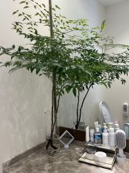 -智美品质医美