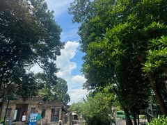 -紫金山山顶公园