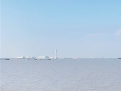 -上海滨江森林公园