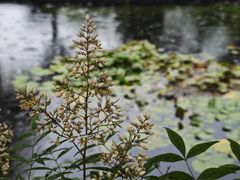 -宁波九龙湖开元度假村