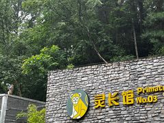 -黔灵山公园