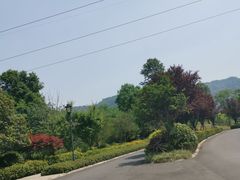 -成都蒲江花样年福朋喜来登度假酒店·宜客乐西餐厅