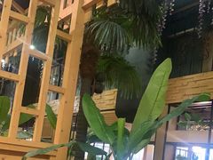 -四季合味椰子鸡(南山大冲店)