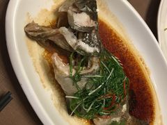 清蒸老虎斑-海口万豪中餐厅·粤菜·海南菜· 平价海鲜·茶点· KTV包房