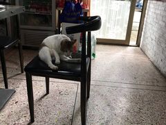 -官塘牛同志牛肉火锅