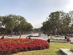 景点-天府芙蓉园