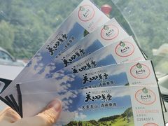 -关山草原