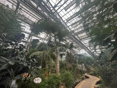 -南山植物园