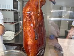 -姚林轩
