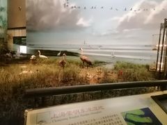 -中国湿地博物馆