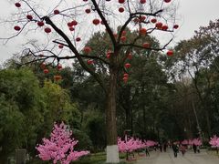 -绵阳人民公园(涪城区)