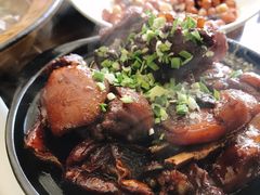 红烧羊肉-双凤孟家羊肉馆(凤北路店)