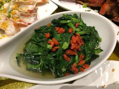 红杞浸豆苗-鱼乐轩海鲜专门店