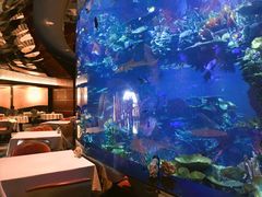 -迪拜帆船酒店海底餐厅