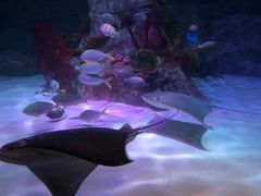 -沈阳海洋探索中心