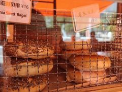 -Catch Bagel(芳草地店)