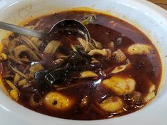 麻辣石锅鱼-都江堰石锅鱼