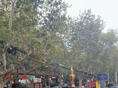 -银星皇冠假日酒店美食阁