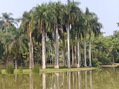 -中国科学院西双版纳热带植物园