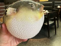 -永安鱼庄·镇江菜(东吴路店)