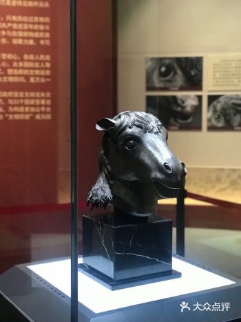 参观【百年梦圆】 圆明园马首铜像回归展  多亏港澳知