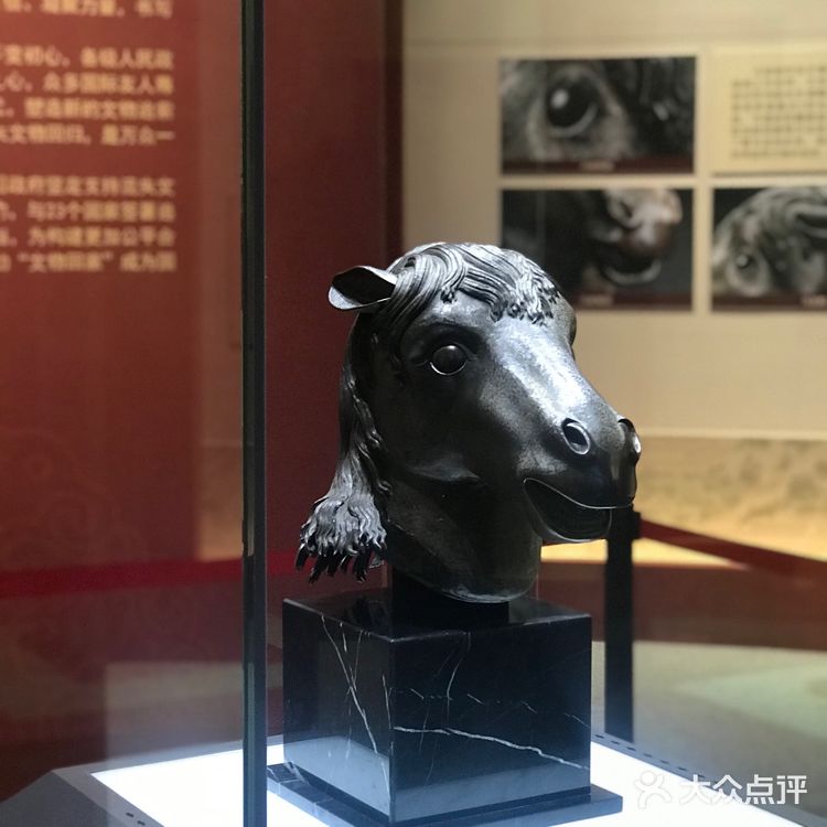 马首回归，圆梦圆明