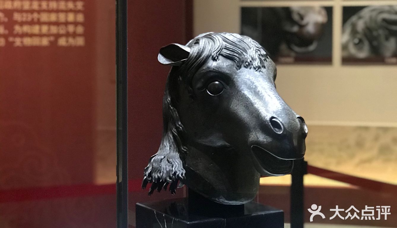 马首回归，圆梦圆明