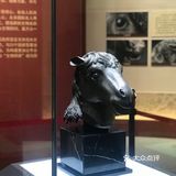 马首回归，圆梦圆明