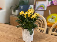 -Fruiffee Cafe 果啡派