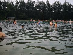 -柳浪游泳场