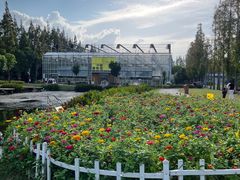 -前小桔亲子创意农场·草莓采摘·露营烧烤