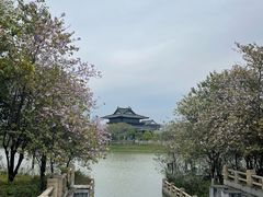 -海珠湖公园