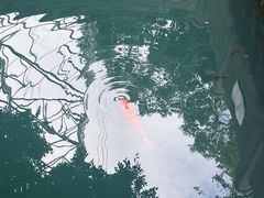 -墨池公园