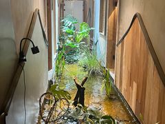 -邈墨茶馆(凤起路店)