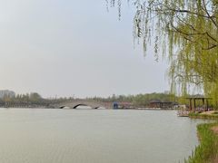 -塘沽森林公园