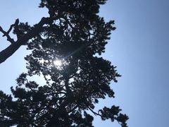 -妙峰山风景名胜区