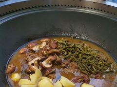 -桃源村铁锅炖鱼(体育馆道店)