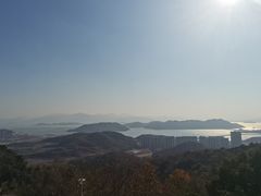 -黄贤森林公园